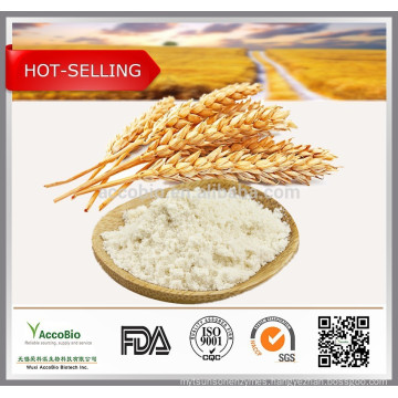 High quality Hydrolyzed Wheat Protein 80%(Vegetable protein)